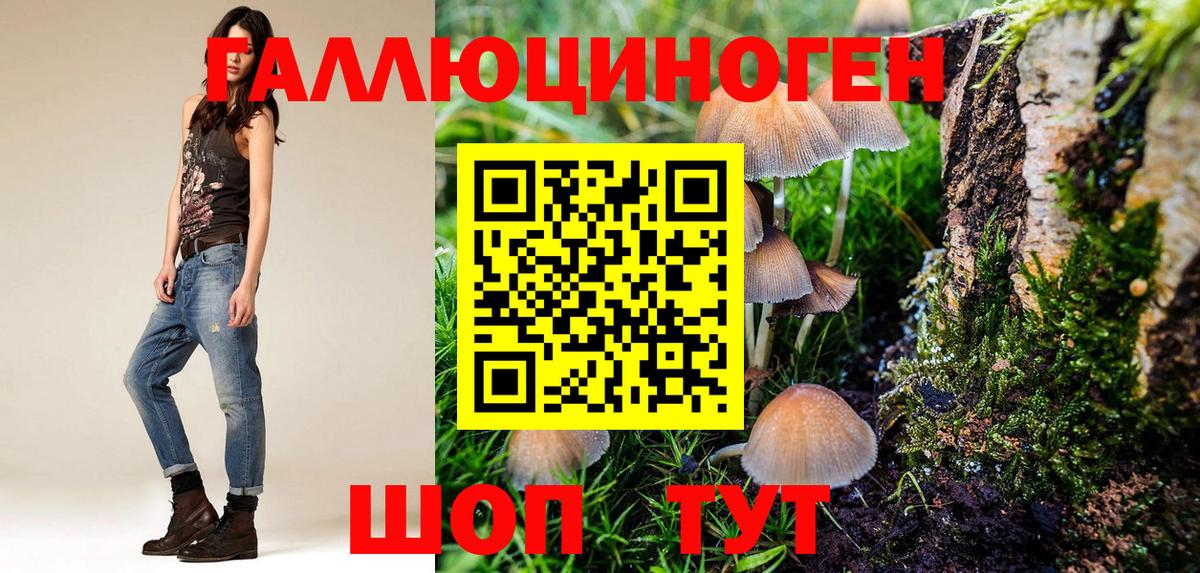 Псилоцибиновые грибы мицелий  Вход с VPN  Сатка 
