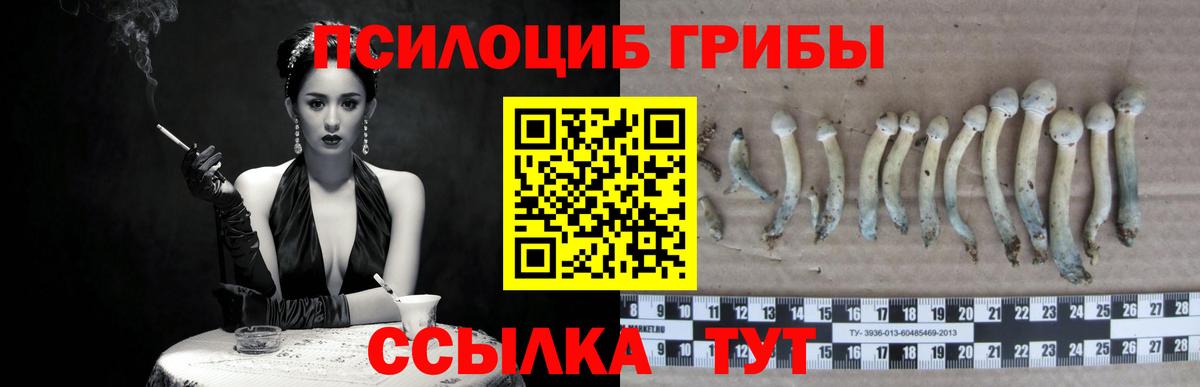 Псилоцибиновые грибы прущие грибы Сатка
